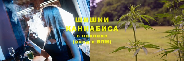 дмт Нея