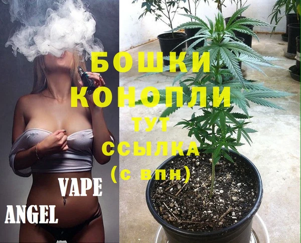 дмт Нея