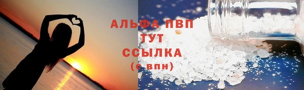 дмт Нея
