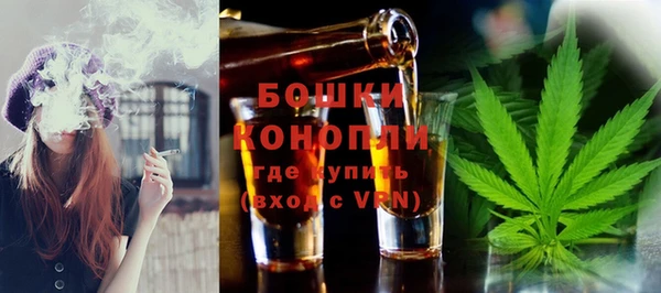 дмт Нея